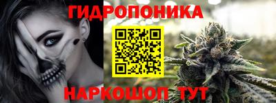 крисы Бузулук