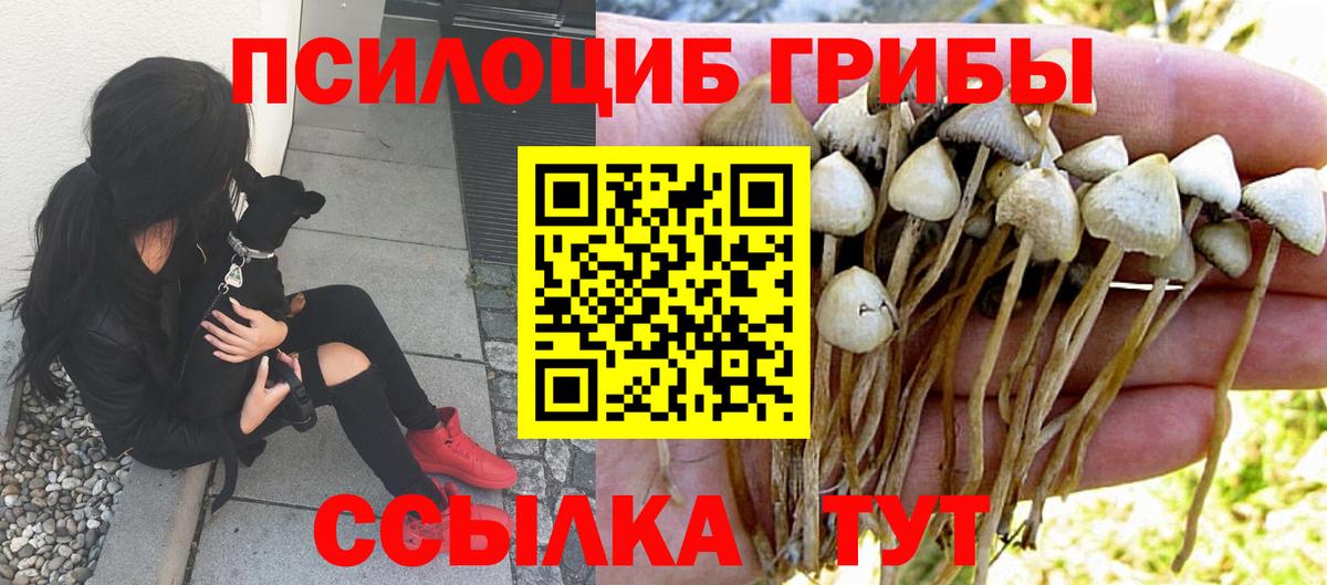 Медногорск  Галлюциногенные грибы Magic Shrooms  Вход с VPN 